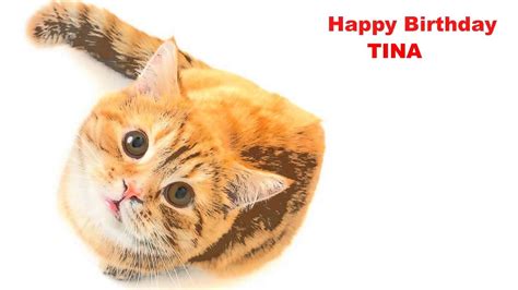 tina kitten birthday|Tina Kitten